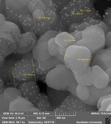 Antibiotics-encapsulated nanoparticles as an antimicrobial agent in the treatment of wound infection